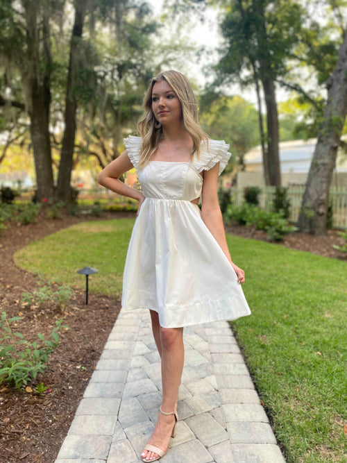 Dream Date Ruffle Dress